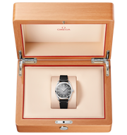 OMEGA Seamaster Railmaster 38mm