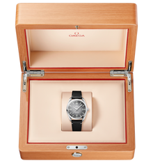 OMEGA Seamaster Railmaster 38mm