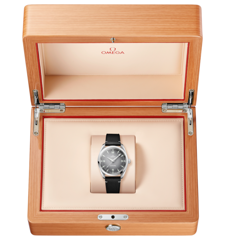 OMEGA Seamaster Railmaster 38mm