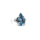 4.22 Aquarian Dream Custom Ring