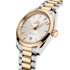 OMEGA Seamaster Aqua Terra 38mm