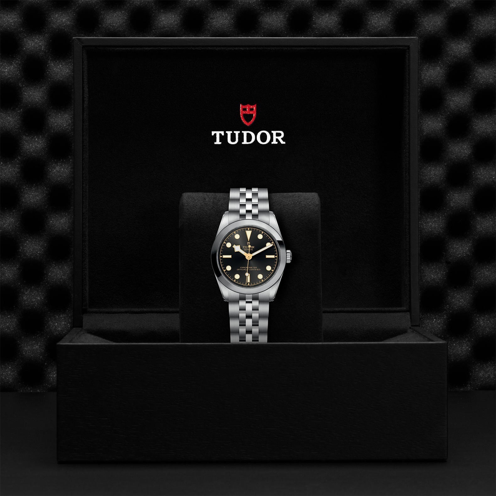 TUDOR Black Bay One 31