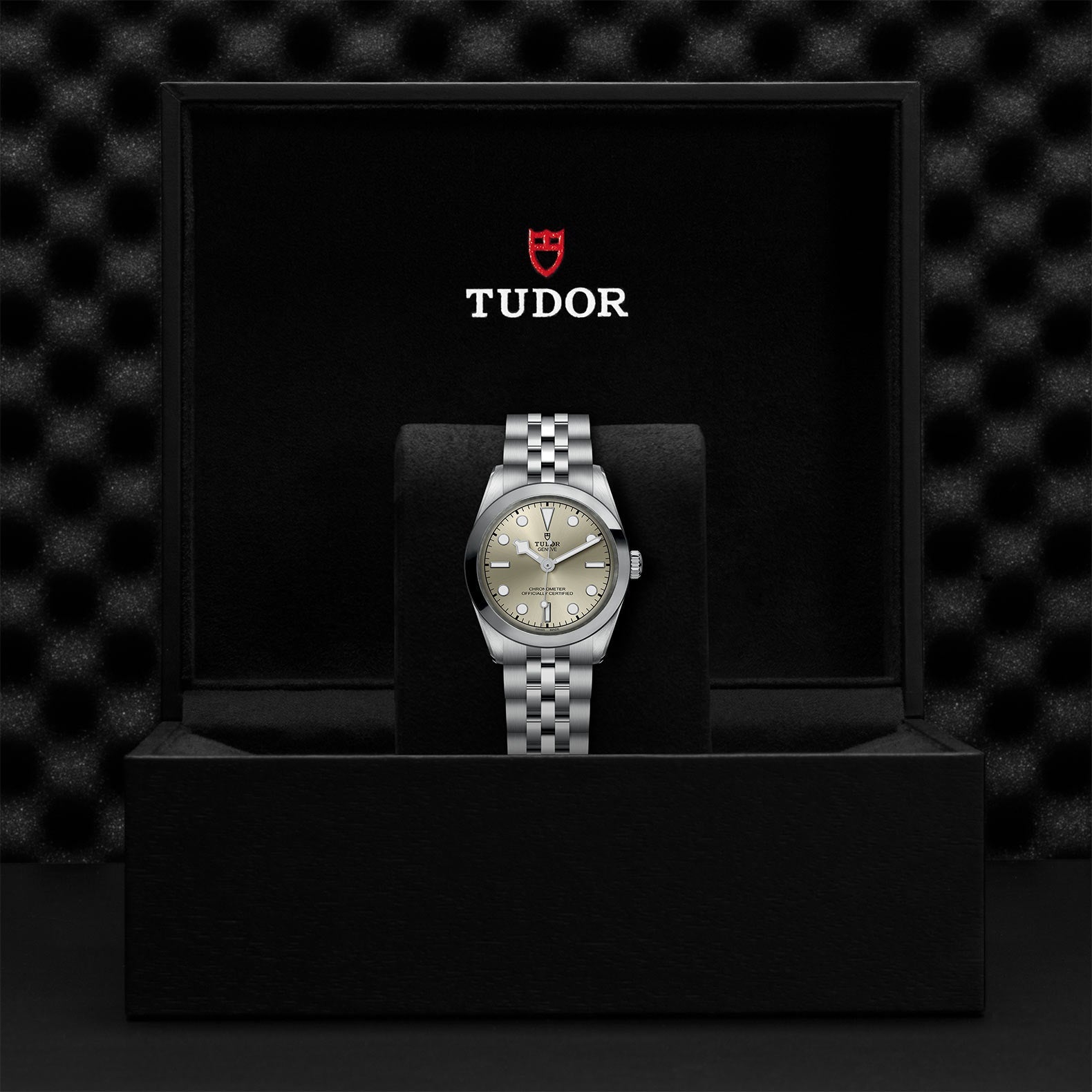 TUDOR Black Bay One 31
