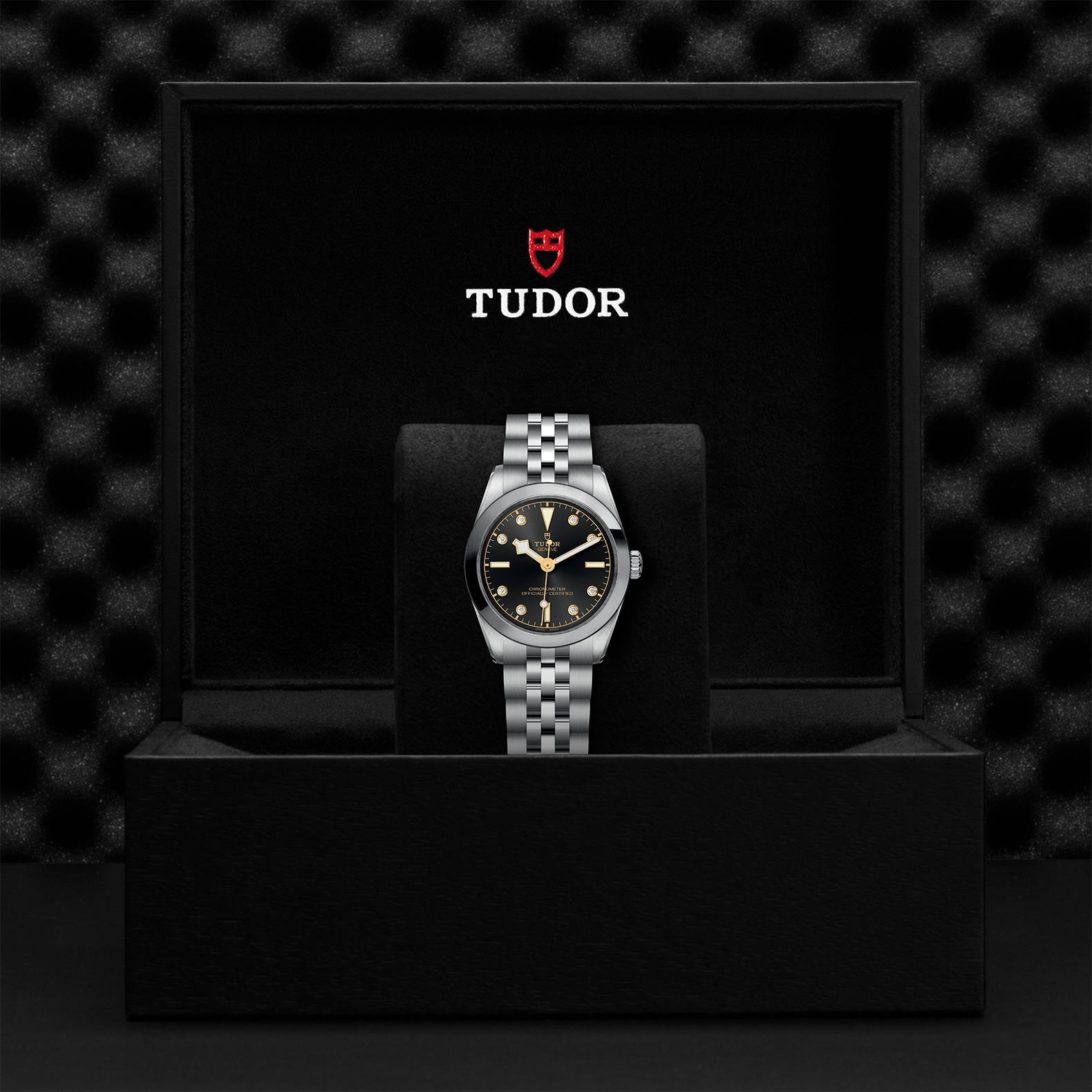 TUDOR Black Bay One 31