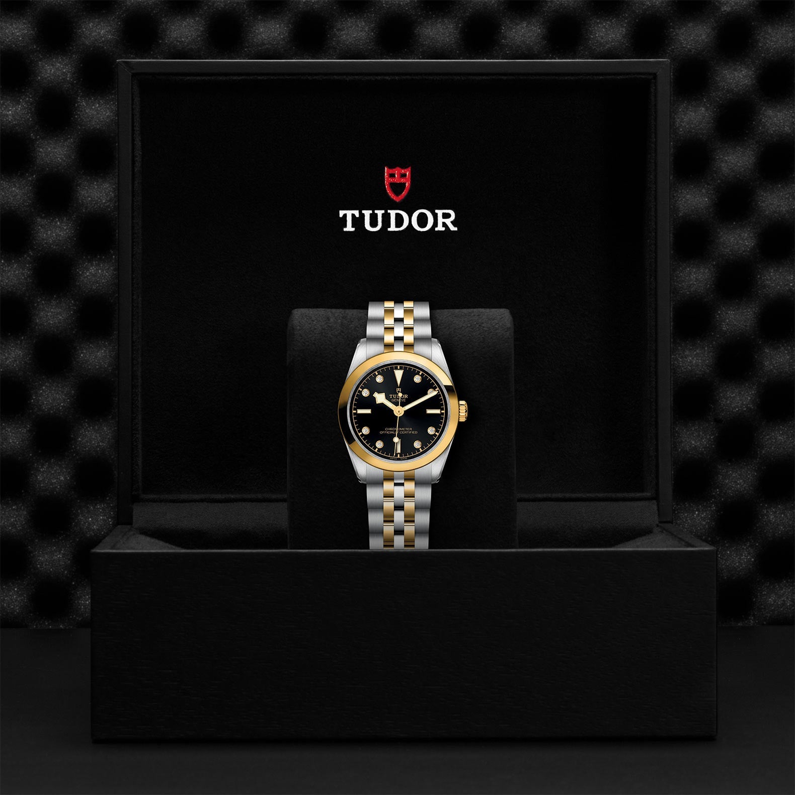 TUDOR Black Bay One 31 S&G