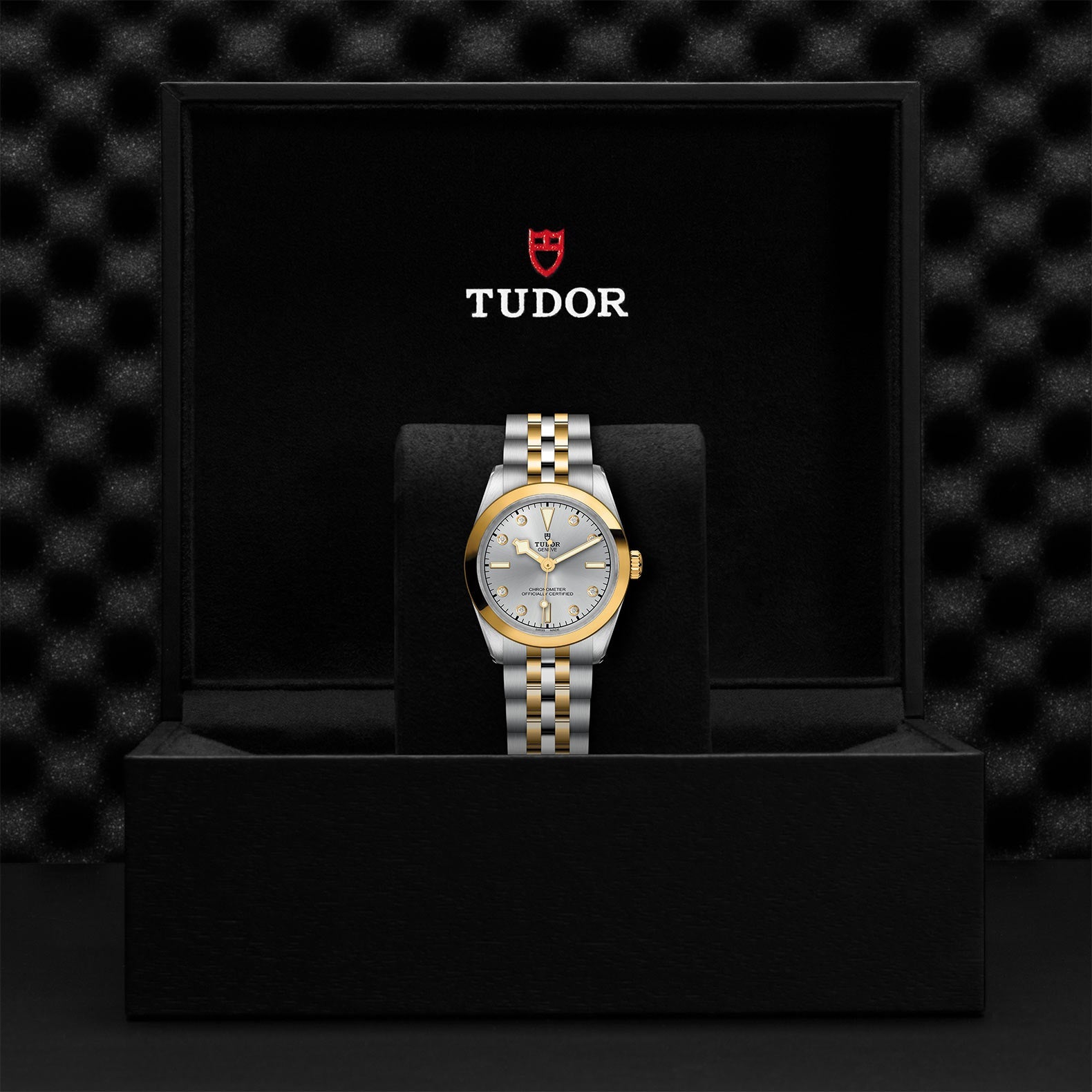 TUDOR Black Bay One 31 S&G