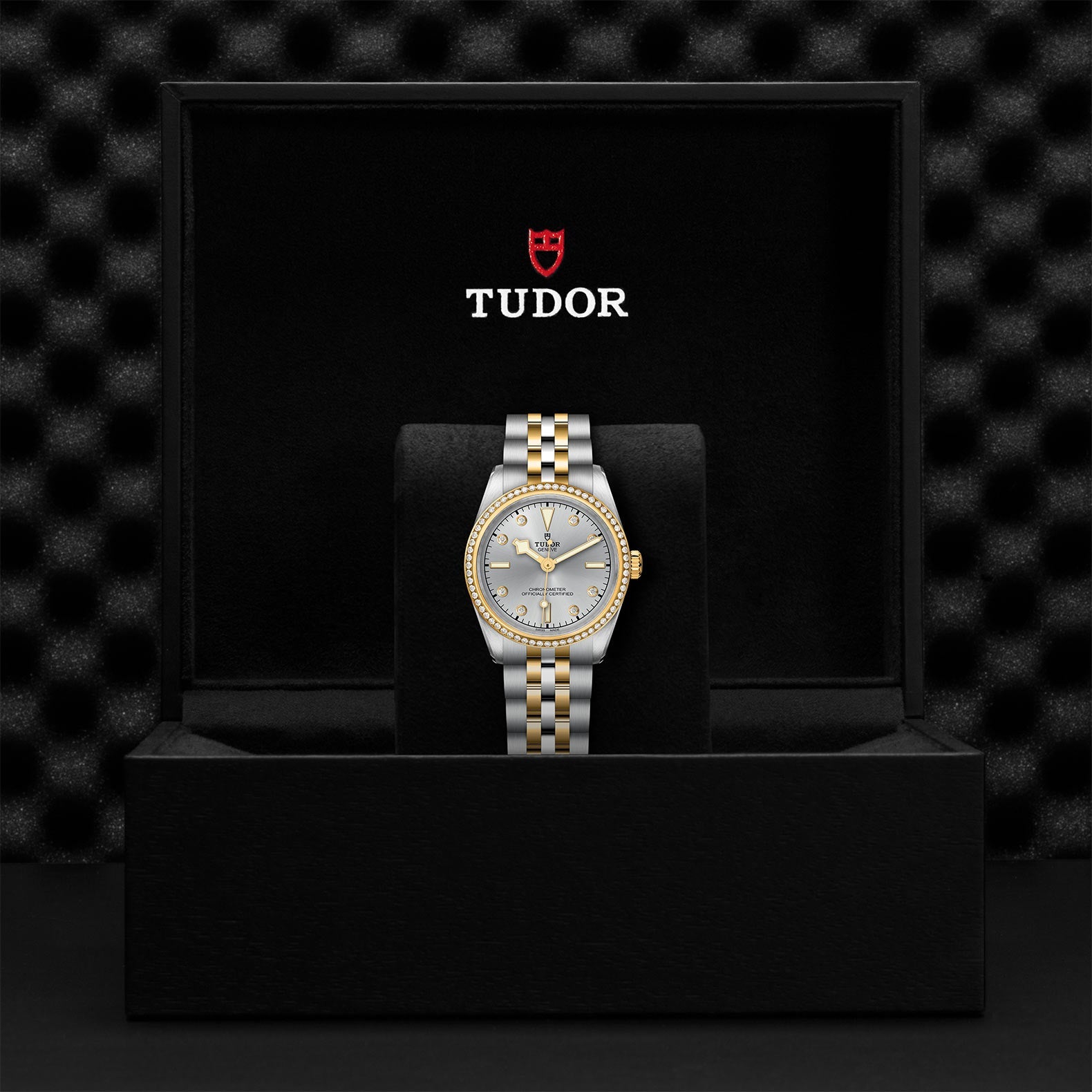TUDOR Black Bay One 31 S&G