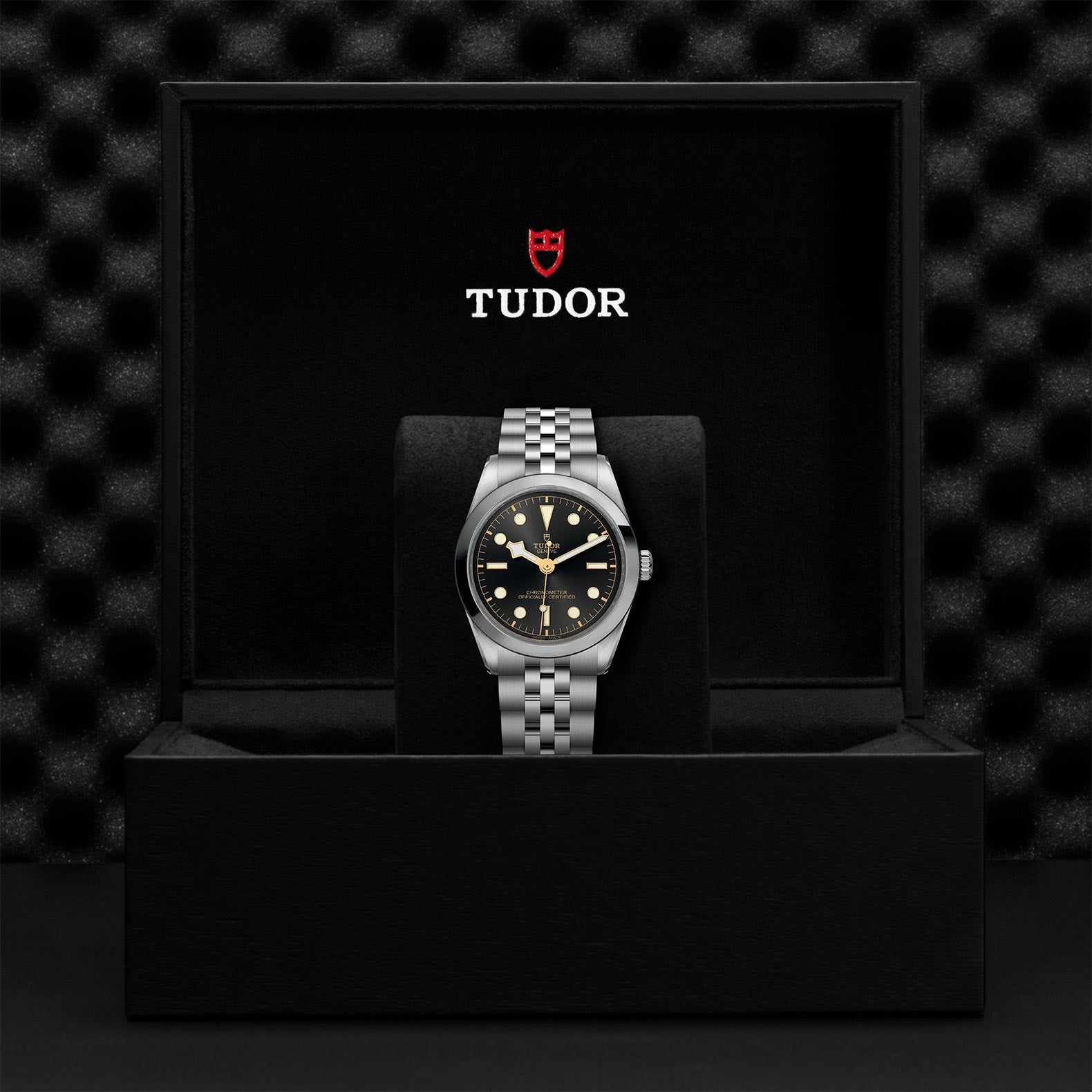 TUDOR Black Bay One 36