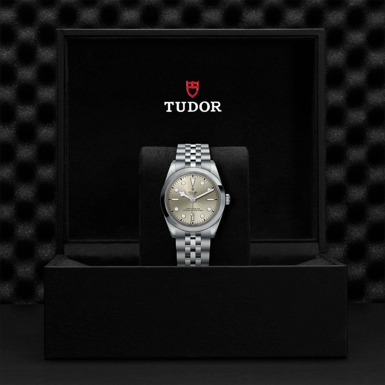 TUDOR Black Bay One 36