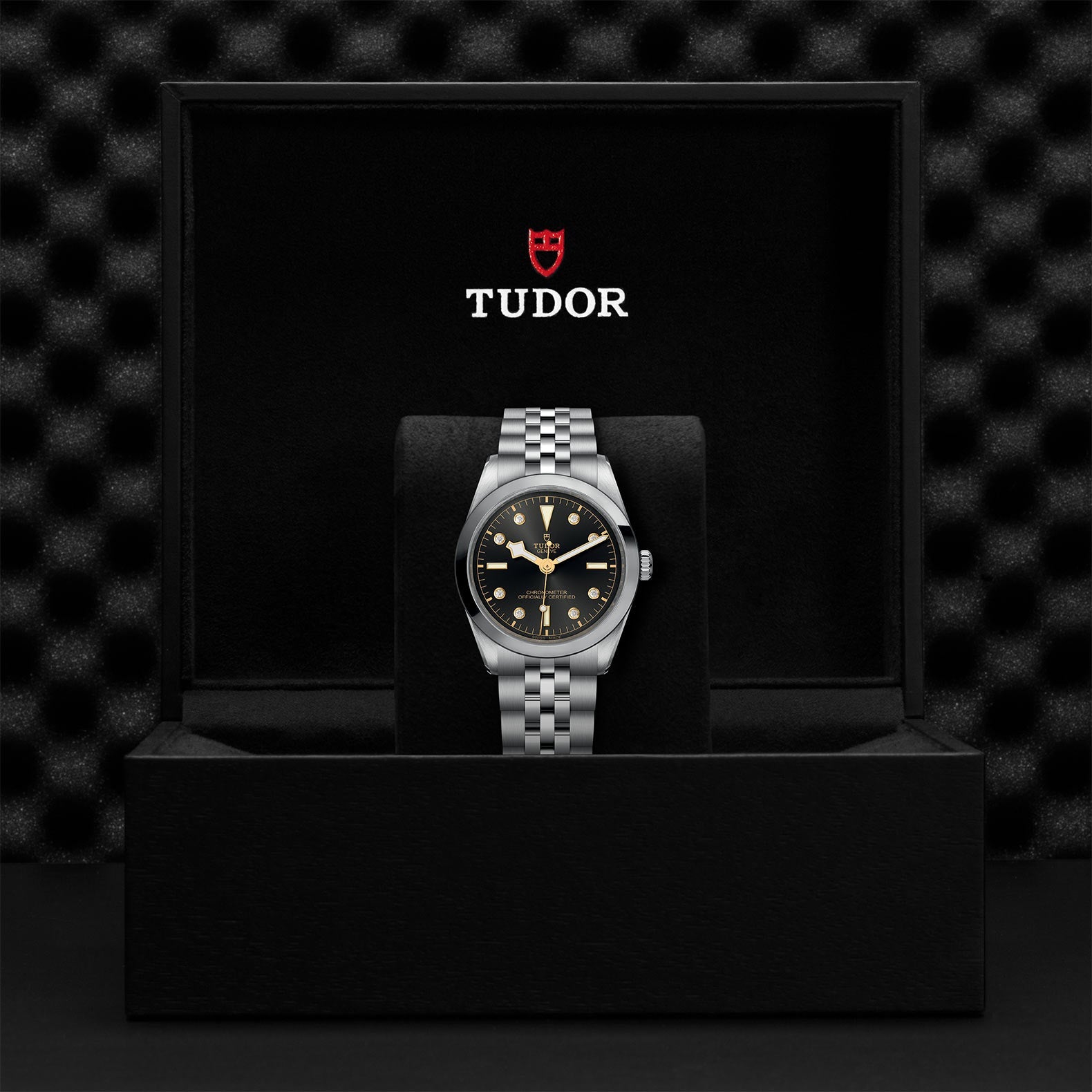 TUDOR Black Bay One 36