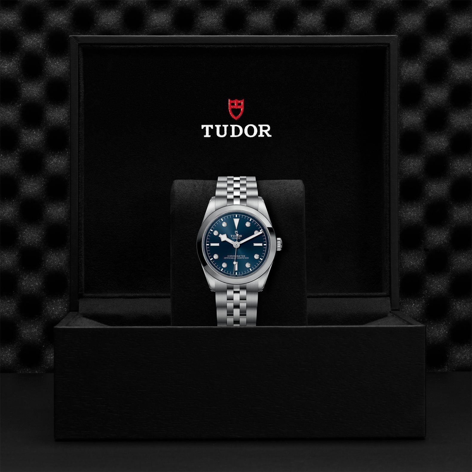 TUDOR Black Bay One 36