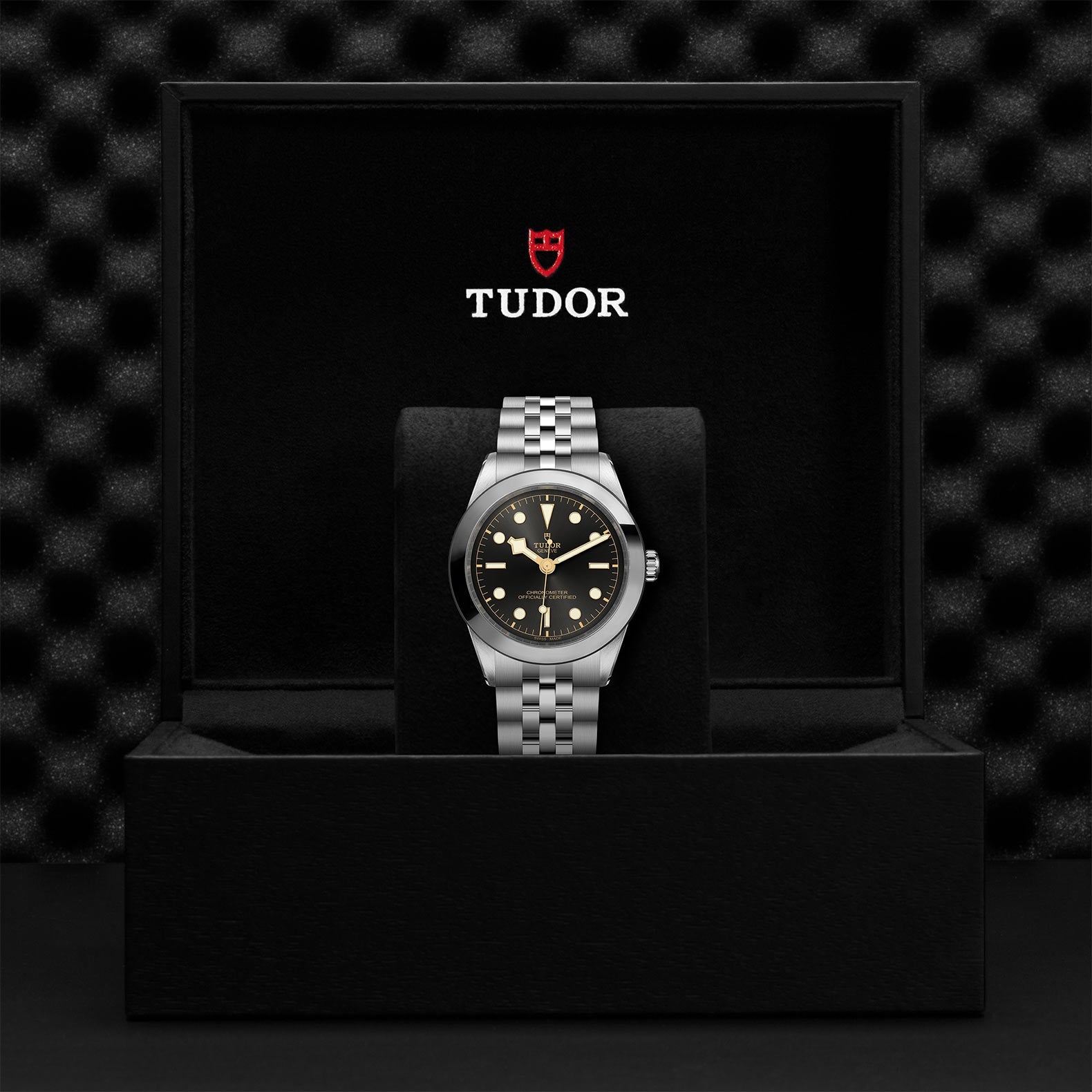 TUDOR Black Bay One 39