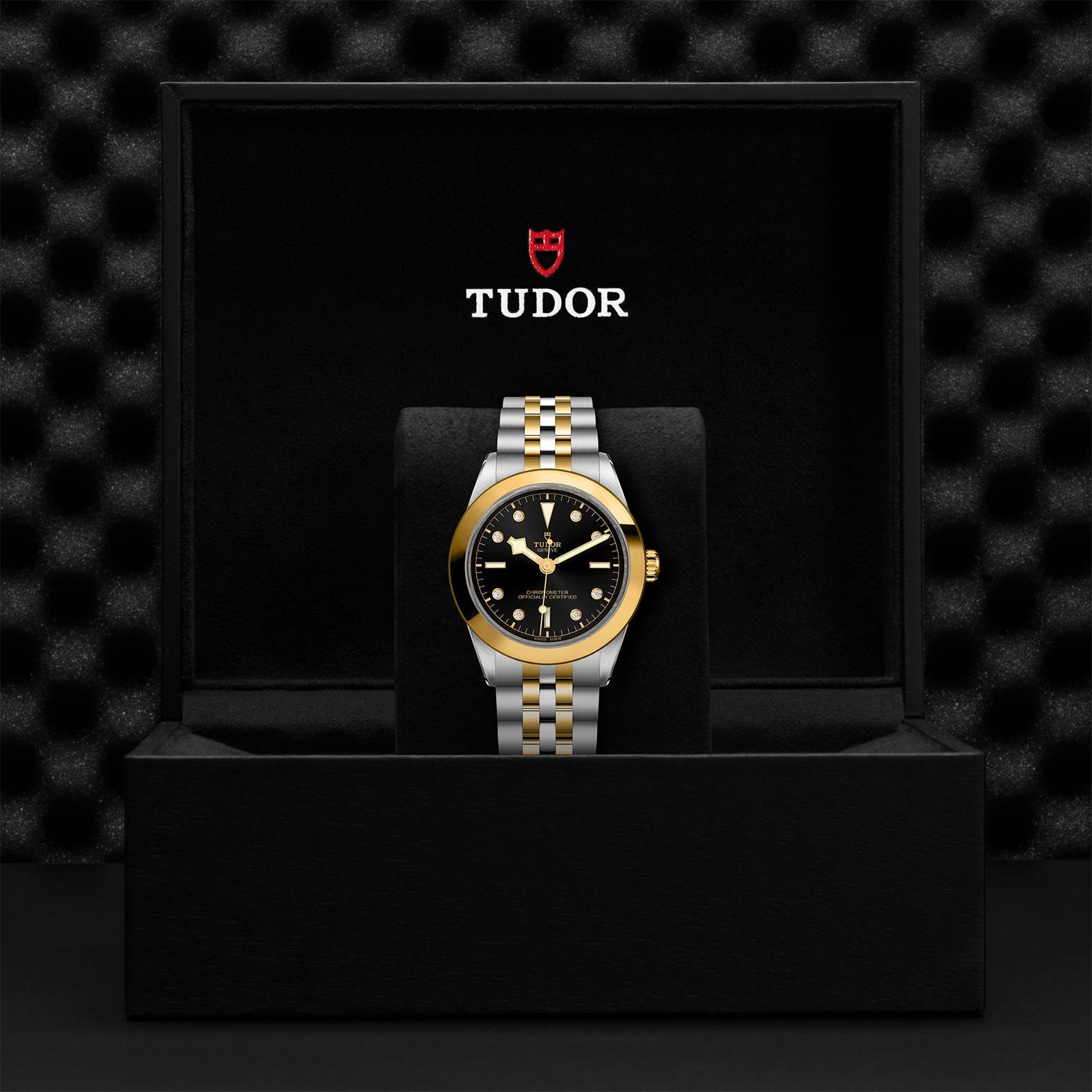 TUDOR Black Bay One 39 S&G