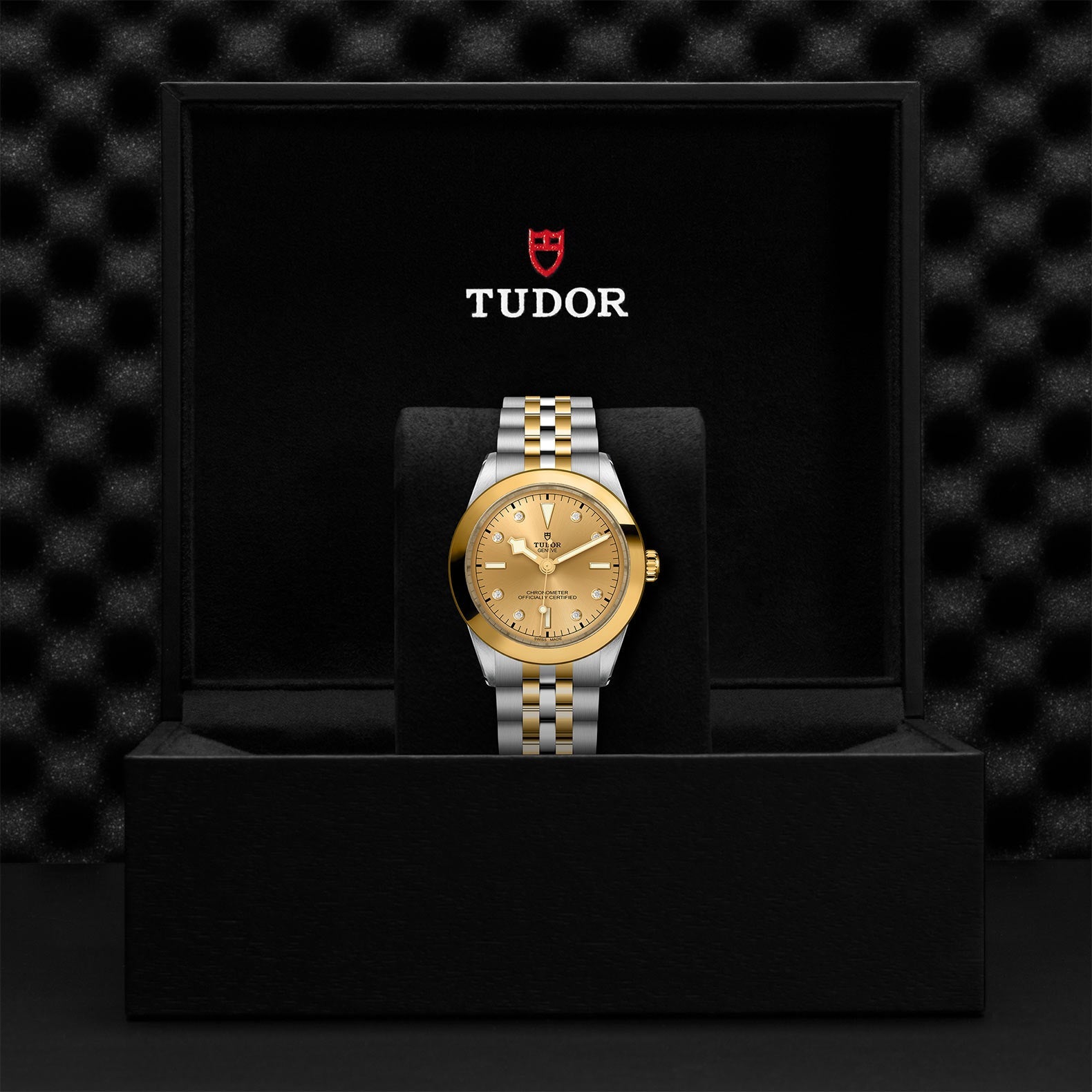 TUDOR Black Bay One 39 S&G