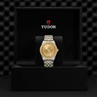 TUDOR Black Bay One 39 S&G