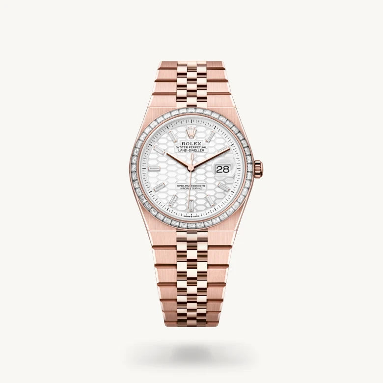 Rolex Land-Dweller in 18 ct Everose gold, M127285TBR-0002 | IJL