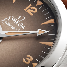 OMEGA Seamaster Railmaster 38mm