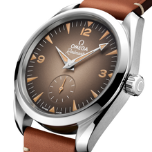 OMEGA Seamaster Railmaster 38mm