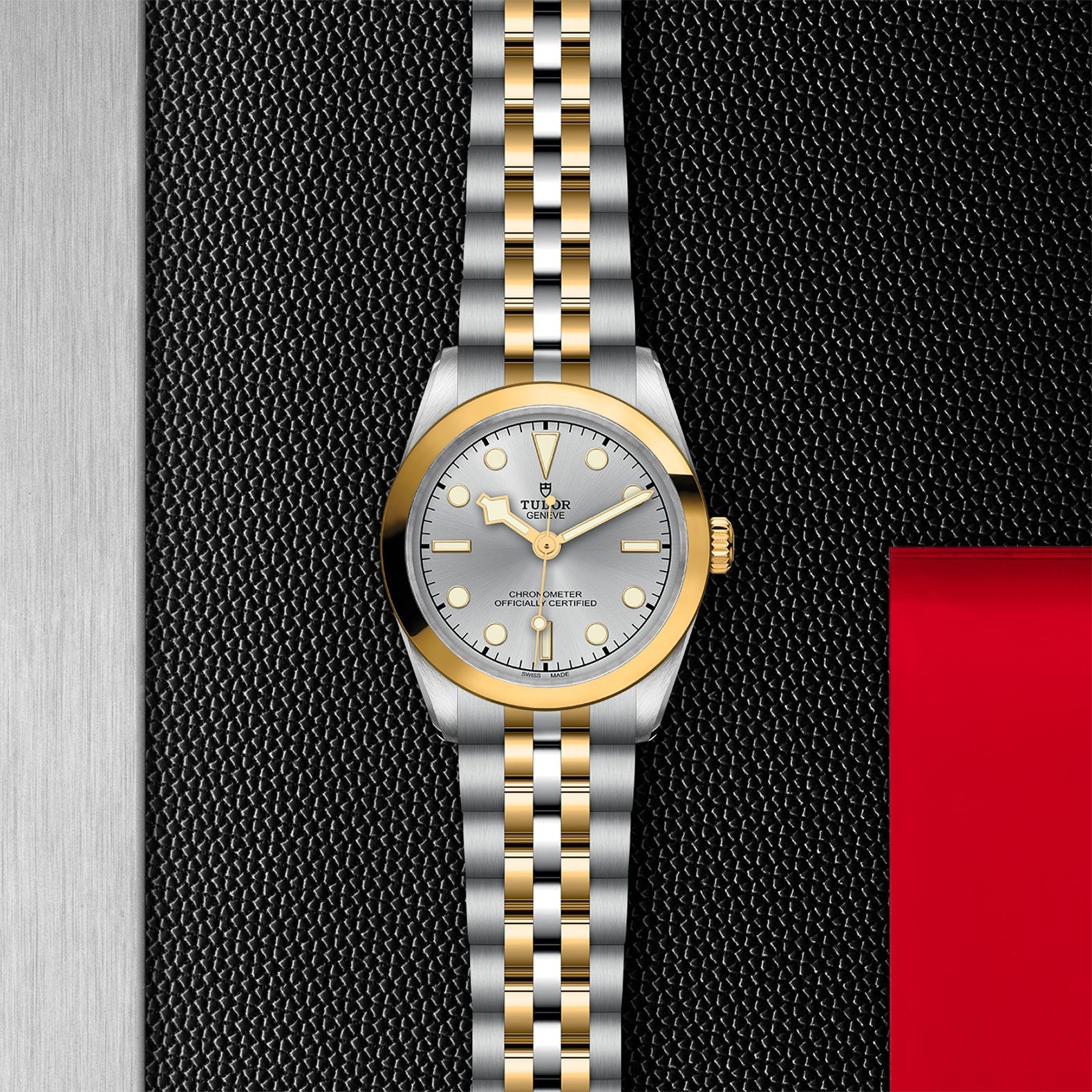TUDOR Black Bay One 31 S&G