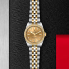 TUDOR Black Bay One 31 S&G