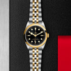 TUDOR Black Bay One 36 S&G