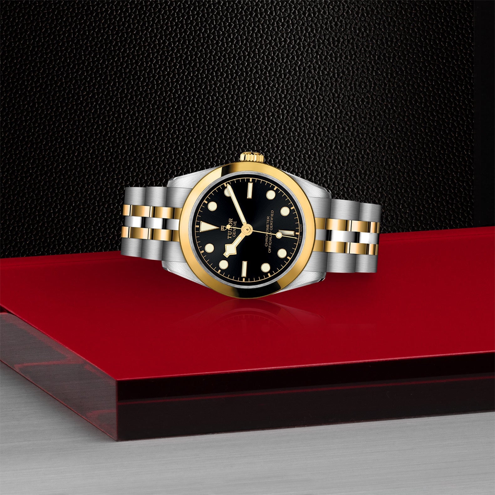 TUDOR Black Bay One 31 S&G