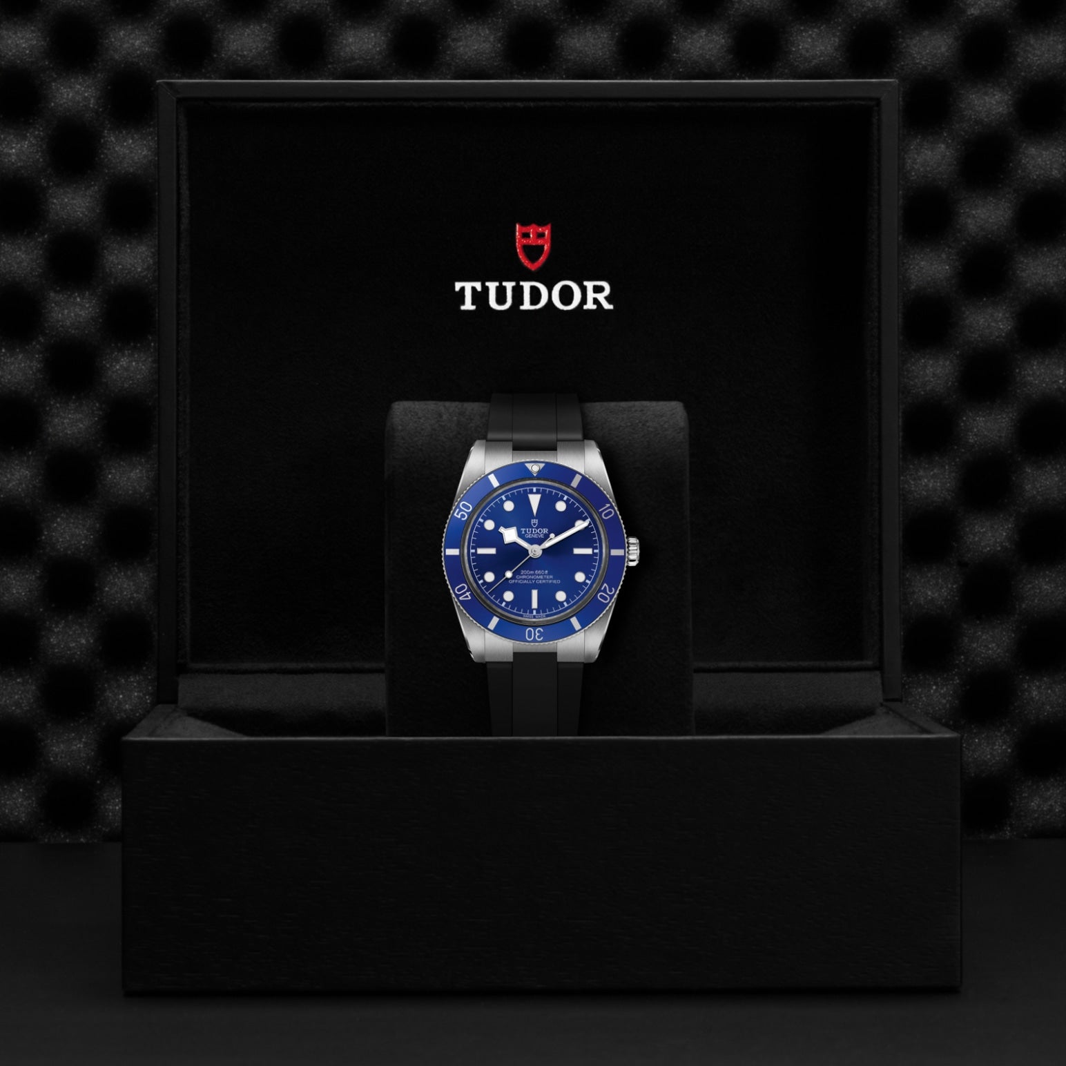 TUDOR Black Bay 54