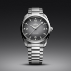 OMEGA Seamaster Railmaster 38mm