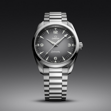 OMEGA Seamaster Railmaster 38mm
