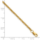 14K Gold Filled 6.5" Rolo Bracelet with 1" Extender