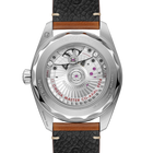 OMEGA Seamaster Railmaster 38mm