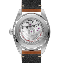 OMEGA Seamaster Railmaster 38mm