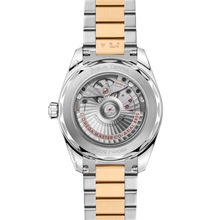 OMEGA Seamaster Aqua Terra 38mm