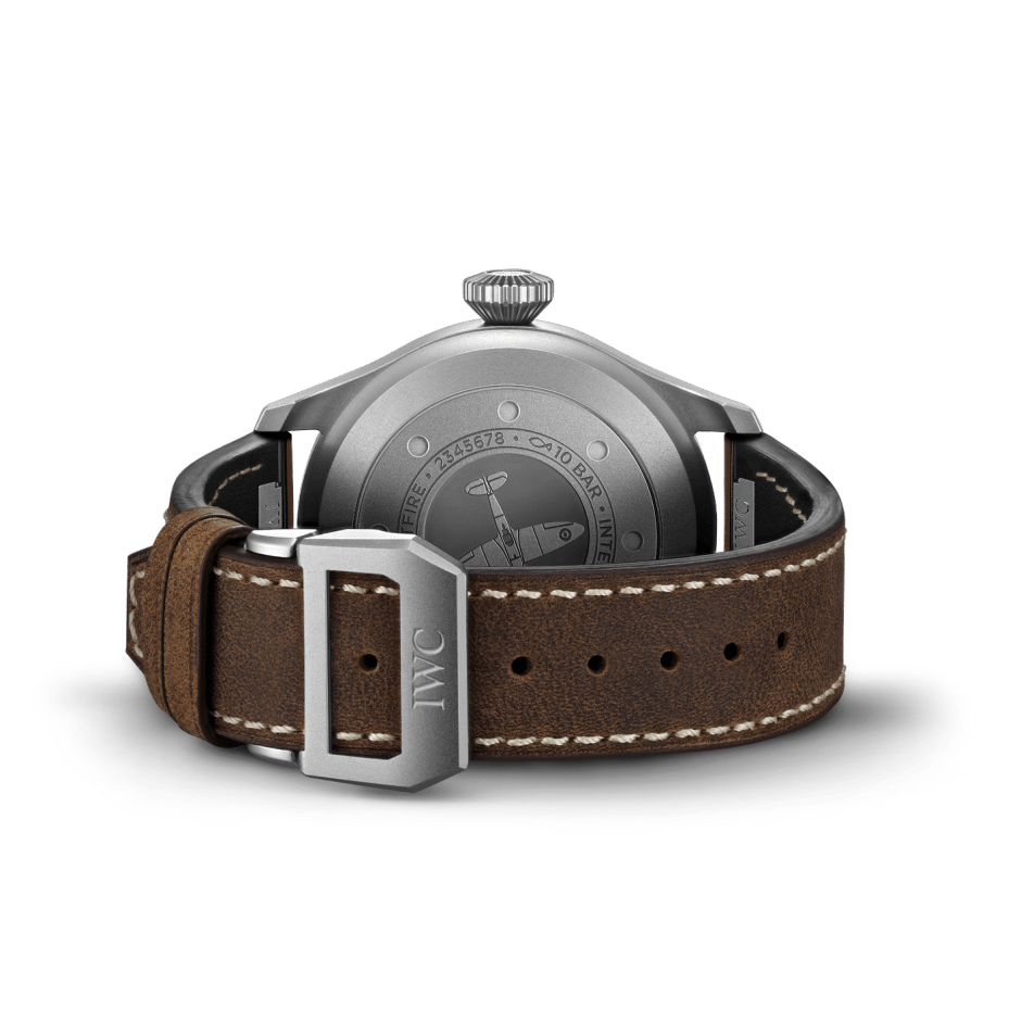Pilot 2025 watch case