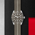TUDOR Black Bay Fifty-Eight 925, model #M79010SG-0002, at IJL Since 1937