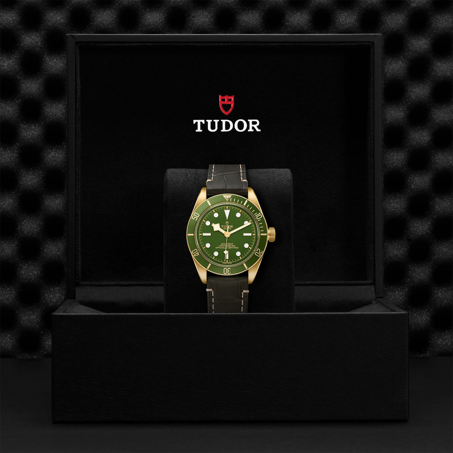 TUDOR Black Bay Fifty-Eight 18K, model #M79018V-0001, at IJL Since 1937