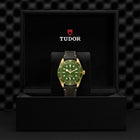 TUDOR Black Bay Fifty-Eight 18K, model #M79018V-0001, at IJL Since 1937
