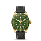 TUDOR Black Bay Fifty-Eight 18K, model #M79018V-0001, at IJL Since 1937