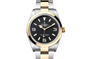 Rolex Explorer in Oystersteel and gold, M124273-0001
