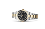 Rolex Explorer in Oystersteel and gold, M124273-0001