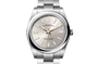 Rolex Oyster Perpetual in Oystersteel, M124300-0001