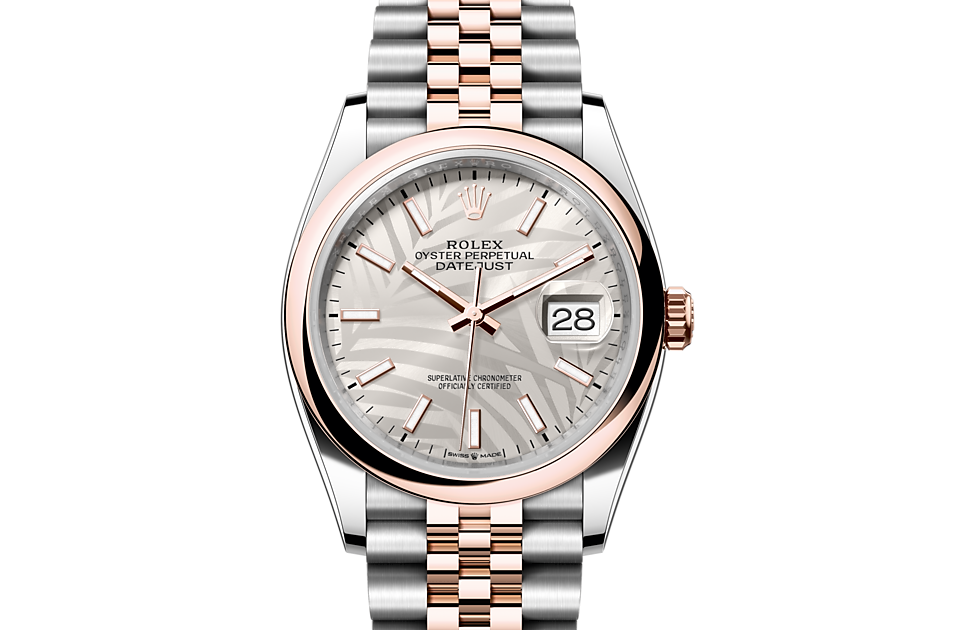 New rolex top 36mm datejust