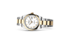 Rolex Datejust in Oystersteel and gold, M126203-0030