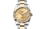 Rolex Datejust in Oystersteel and gold, M126233-0018