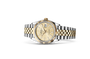 Rolex Datejust in Oystersteel and gold, M126233-0039