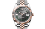 Rolex Datejust in Oystersteel and gold, M126331-0016