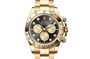 Rolex Cosmograph Daytona in Gold, M126508-0003