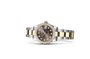 [19004] Rolex Datejust 31 M278383RBR-0021