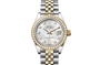 [17729] Rolex Lady-Datejust M279383RBR-0019