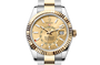 Rolex Sky?Dweller in Oystersteel and gold, M336933-0001